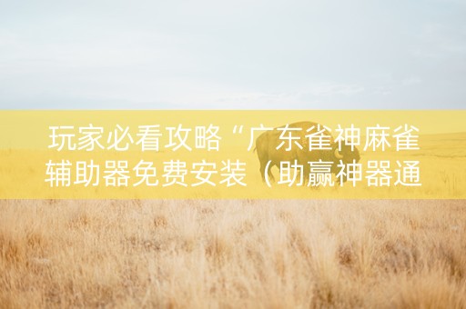 玩家必看攻略“广东雀神麻雀辅助器免费安装（助赢神器通用版）