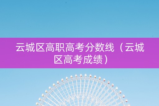 云城区高职高考分数线（云城区高考成绩）
