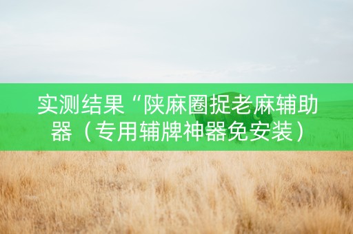 实测结果“陕麻圈捉老麻辅助器（专用辅牌神器免安装）