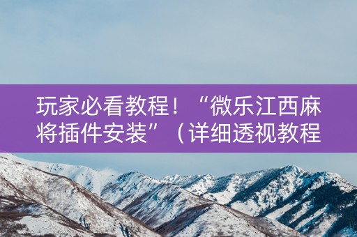玩家必看教程！“微乐江西麻将插件安装”（详细透视教程）-哔哩哔哩