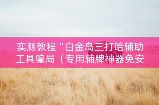 实测教程“白金岛三打哈辅助工具骗局（专用辅牌神器免安装）