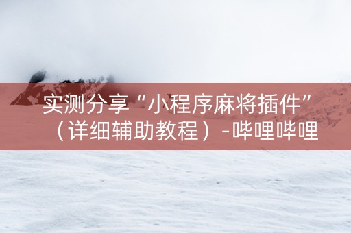 实测分享“小程序麻将插件”（详细辅助教程）-哔哩哔哩
