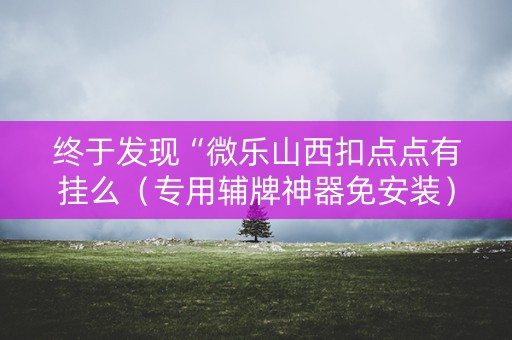 终于发现“微乐山西扣点点有挂么（专用辅牌神器免安装）