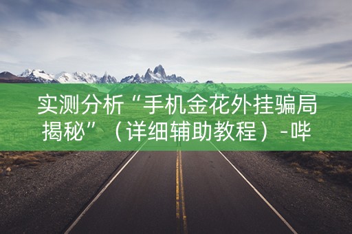 实测分析“手机金花外挂骗局揭秘”（详细辅助教程）-哔哩哔哩