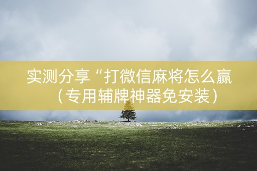 实测分享“打微信麻将怎么赢（专用辅牌神器免安装）