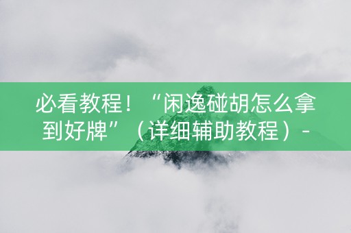 必看教程！“闲逸碰胡怎么拿到好牌”（详细辅助教程）-哔哩哔哩