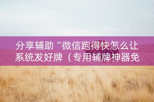 分享辅助“微信跑得快怎么让系统发好牌（专用辅牌神器免安装）