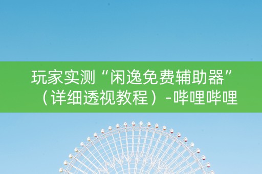 玩家实测“闲逸免费辅助器”（详细透视教程）-哔哩哔哩