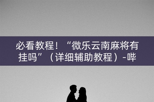 必看教程！“微乐云南麻将有挂吗”（详细辅助教程）-哔哩哔哩