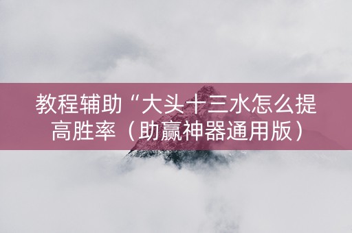 教程辅助“大头十三水怎么提高胜率（助赢神器通用版）