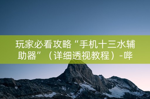 玩家必看攻略“手机十三水辅助器”（详细透视教程）-哔哩哔哩