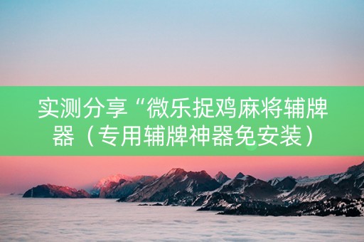 实测分享“微乐捉鸡麻将辅牌器（专用辅牌神器免安装）