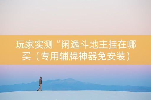 玩家实测“闲逸斗地主挂在哪买（专用辅牌神器免安装）