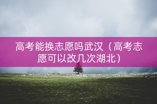 高考能换志愿吗武汉（高考志愿可以改几次湖北）