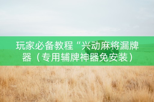 玩家必备教程“兴动麻将漏牌器（专用辅牌神器免安装）