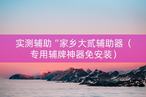 实测辅助“家乡大贰辅助器（专用辅牌神器免安装）