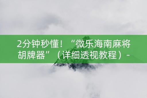 2分钟秒懂！“微乐海南麻将胡牌器”（详细透视教程）-哔哩哔哩