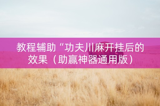 教程辅助“功夫川麻开挂后的效果（助赢神器通用版）