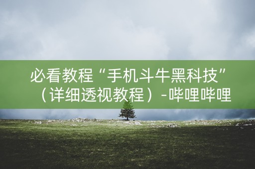 必看教程“手机斗牛黑科技”（详细透视教程）-哔哩哔哩