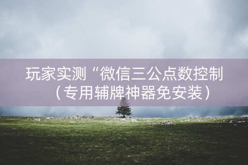 玩家实测“微信三公点数控制（专用辅牌神器免安装）