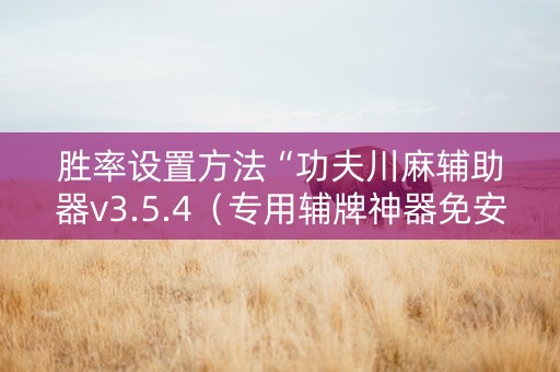 胜率设置方法“功夫川麻辅助器v3.5.4（专用辅牌神器免安装）