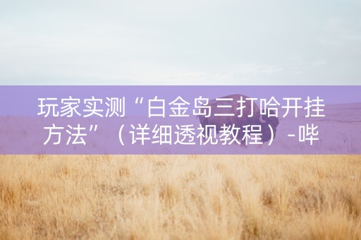 玩家实测“白金岛三打哈开挂方法”（详细透视教程）-哔哩哔哩