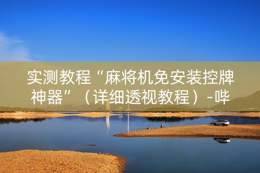 实测教程“麻将机免安装控牌神器”（详细透视教程）-哔哩哔哩