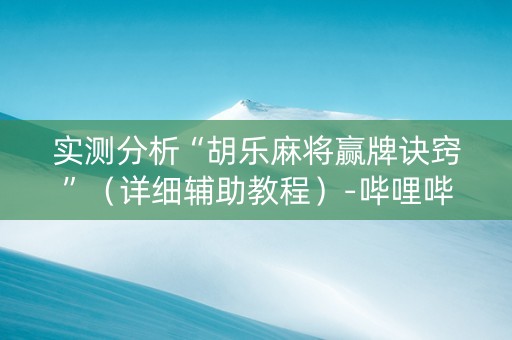 实测分析“胡乐麻将赢牌诀窍”（详细辅助教程）-哔哩哔哩