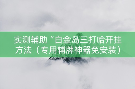 实测辅助“白金岛三打哈开挂方法（专用辅牌神器免安装）