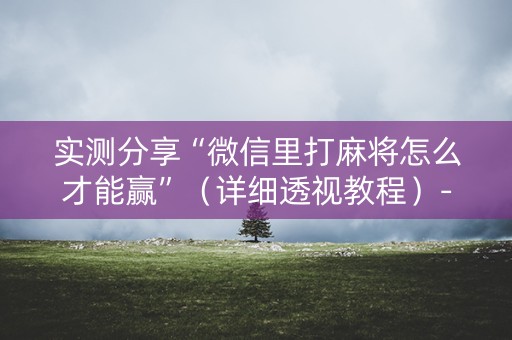 实测分享“微信里打麻将怎么才能赢”（详细透视教程）-哔哩哔哩