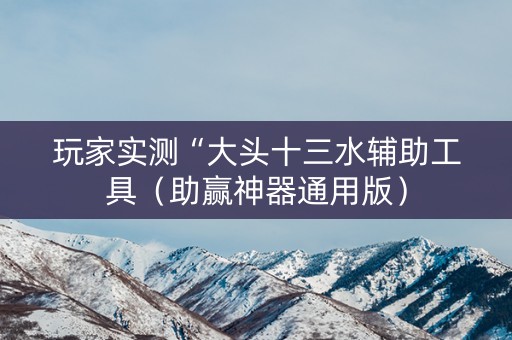 玩家实测“大头十三水辅助工具（助赢神器通用版）