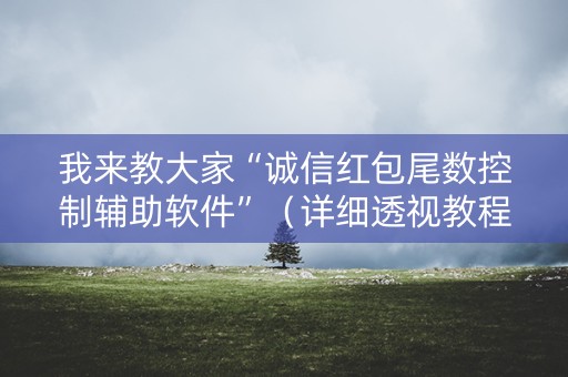 我来教大家“诚信红包尾数控制辅助软件”（详细透视教程）-哔哩哔哩