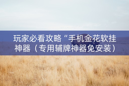 玩家必看攻略“手机金花软挂神器（专用辅牌神器免安装）
