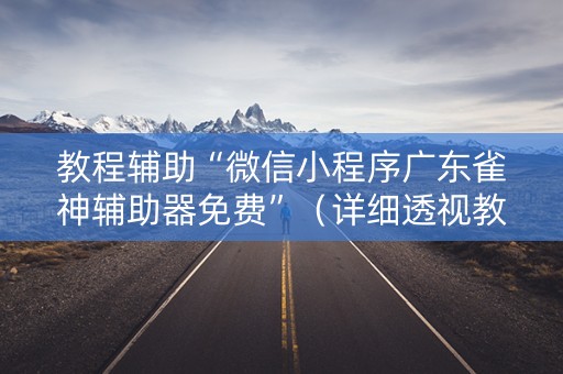 教程辅助“微信小程序广东雀神辅助器免费”（详细透视教程）-哔哩哔哩