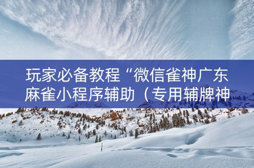 玩家必备教程“微信雀神广东麻雀小程序辅助（专用辅牌神器免安装）