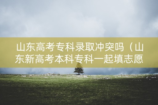 山东高考专科录取冲突吗（山东新高考本科专科一起填志愿吗）