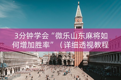 3分钟学会“微乐山东麻将如何增加胜率”（详细透视教程）-哔哩哔哩