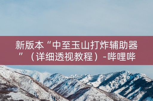 新版本“中至玉山打炸辅助器”（详细透视教程）-哔哩哔哩