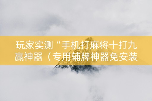 玩家实测“手机打麻将十打九赢神器（专用辅牌神器免安装）
