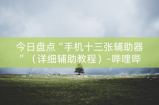 今日盘点“手机十三张辅助器”（详细辅助教程）-哔哩哔哩