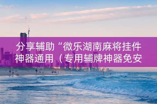 分享辅助“微乐湖南麻将挂件神器通用（专用辅牌神器免安装）