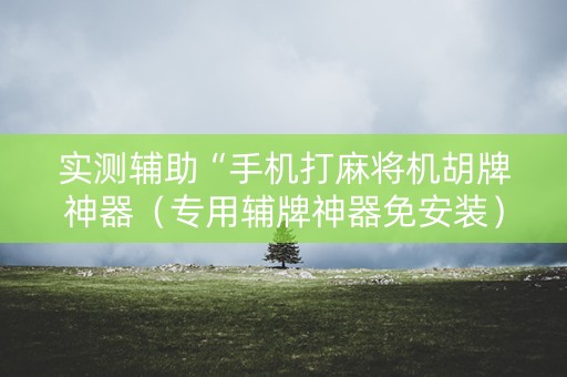 实测辅助“手机打麻将机胡牌神器（专用辅牌神器免安装）