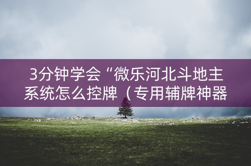 3分钟学会“微乐河北斗地主系统怎么控牌（专用辅牌神器免安装）