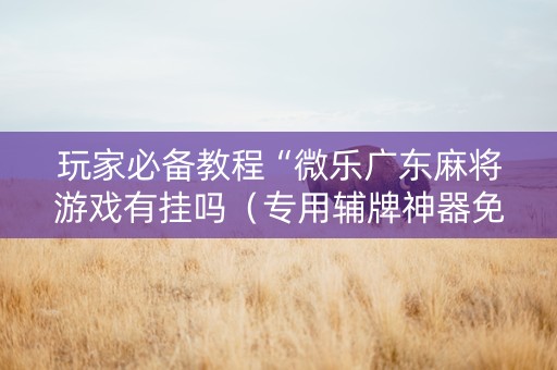玩家必备教程“微乐广东麻将游戏有挂吗（专用辅牌神器免安装）