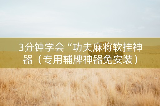 3分钟学会“功夫麻将软挂神器（专用辅牌神器免安装）