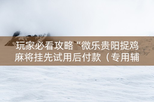 玩家必看攻略“微乐贵阳捉鸡麻将挂先试用后付款（专用辅牌神器免安装）