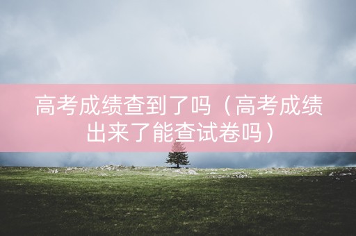 高考成绩查到了吗（高考成绩出来了能查试卷吗）