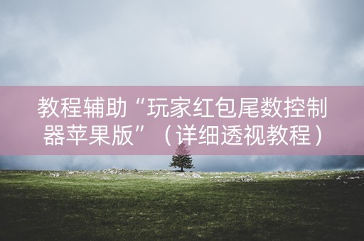 教程辅助“玩家红包尾数控制器苹果版”（详细透视教程）-哔哩哔哩