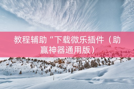 教程辅助“下载微乐插件（助赢神器通用版）