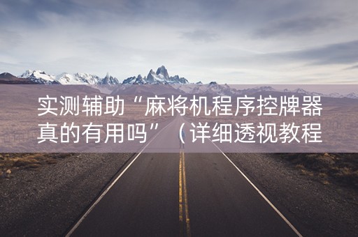 实测辅助“麻将机程序控牌器真的有用吗”（详细透视教程）-哔哩哔哩